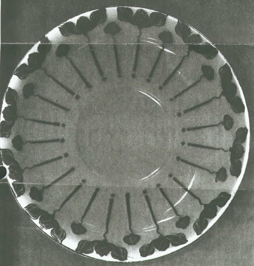Kensington Saucer by Adams China-1