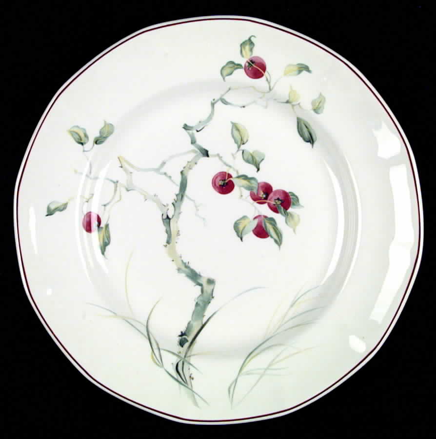 Persimmon Dinner Plate by Adams China-1
