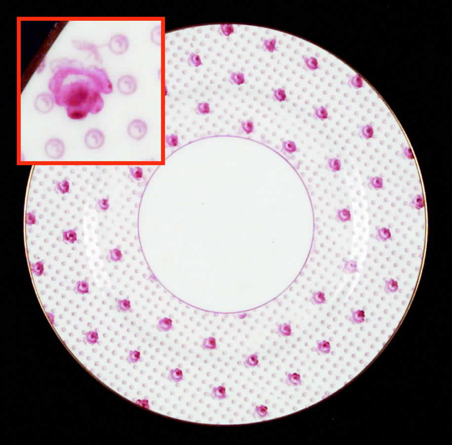 03385 Salad Plate by Adderley-1