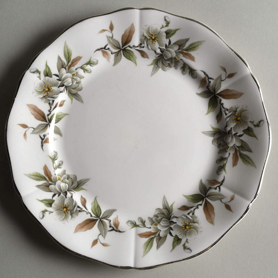 Arcadia (Platinum Trim) Salad Plate by Adderley-1