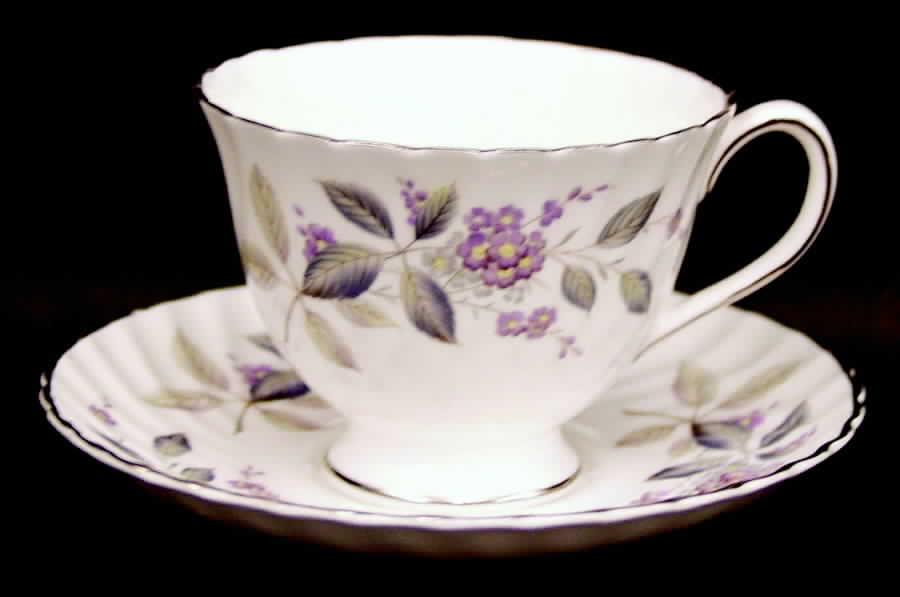 Breath of Spring Footed Cup & Saucer Set by Adderley-1