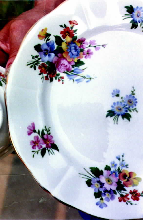 H1026 Dinner Plate by Adderley-1
