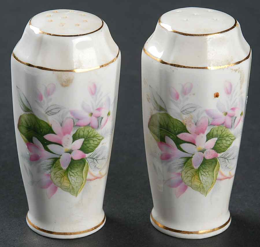 Mayflower Salt & Pepper Set by Adderley-1