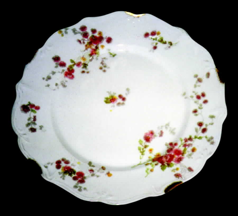 AHR144 Dinner Plate by Charles Ahrenfeldt-1
