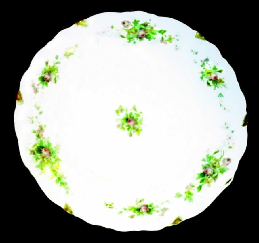 AHR145 Dinner Plate by Charles Ahrenfeldt-1