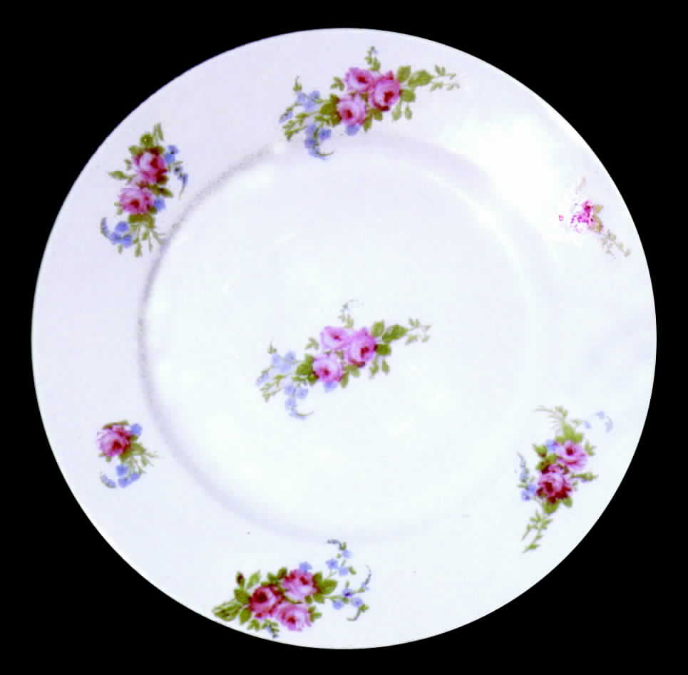 AHR151 Dinner Plate by Charles Ahrenfeldt-1