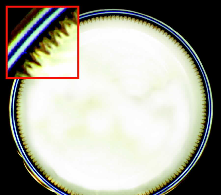 AHR164 Ramekin by Charles Ahrenfeldt-1