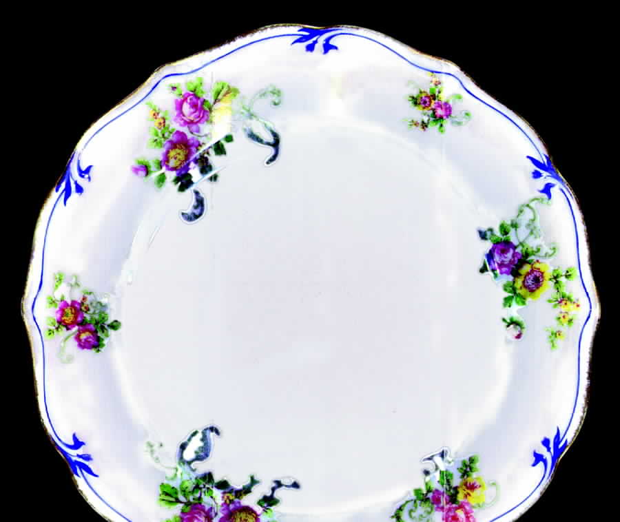 AHR165 Dinner Plate by Charles Ahrenfeldt-1