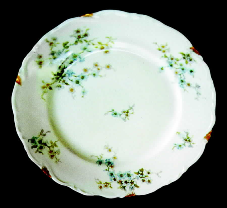 AHR192 Dinner Plate by Charles Ahrenfeldt-1