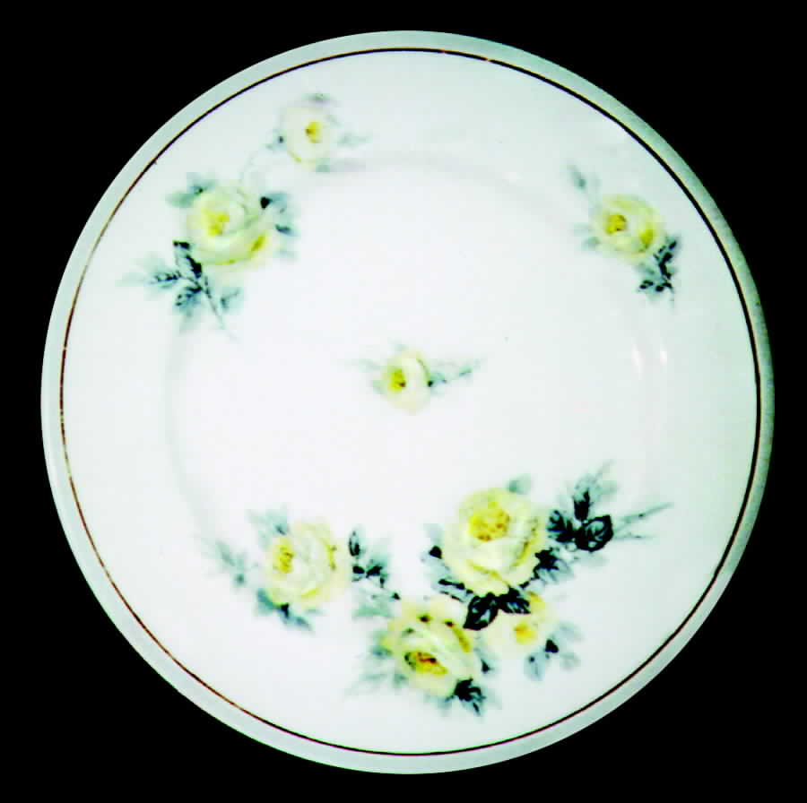 AHR214 Dinner Plate by Charles Ahrenfeldt-1