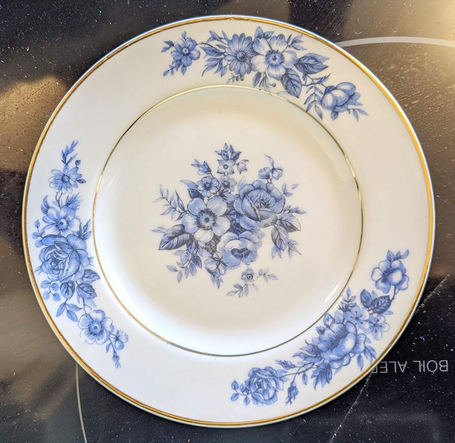 La Provence Blue and White Dinner Plate by Charles Ahrenfeldt-1