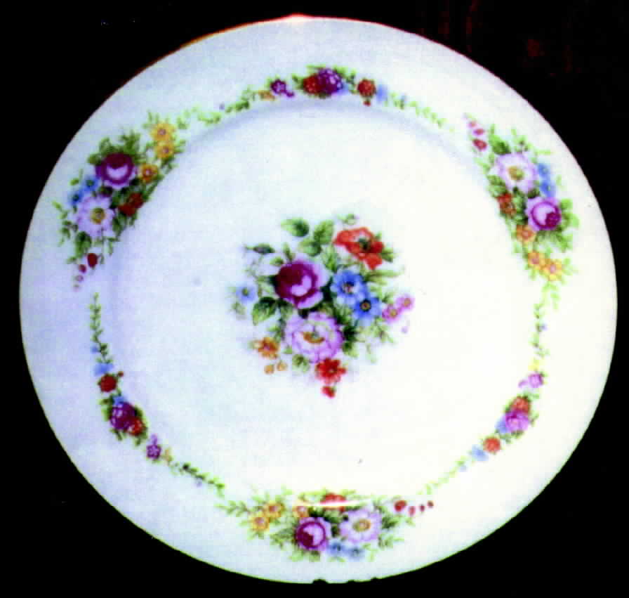 AIC10 Dinner Plate by Aichi-1