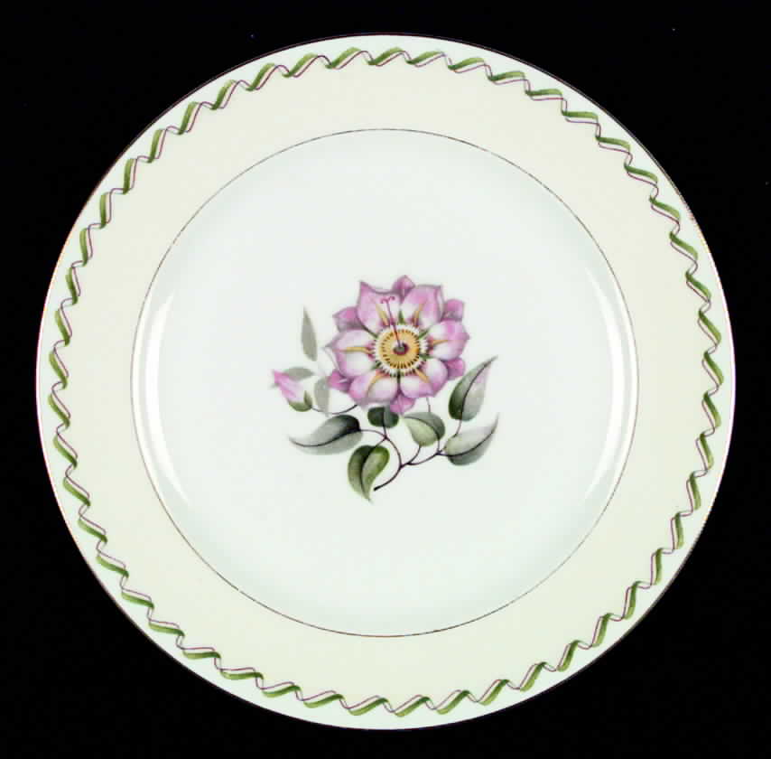 AIC11 Dinner Plate by Aichi-1