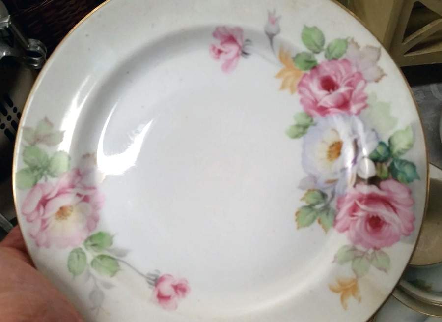 AIC12 Dinner Plate by Aichi-1