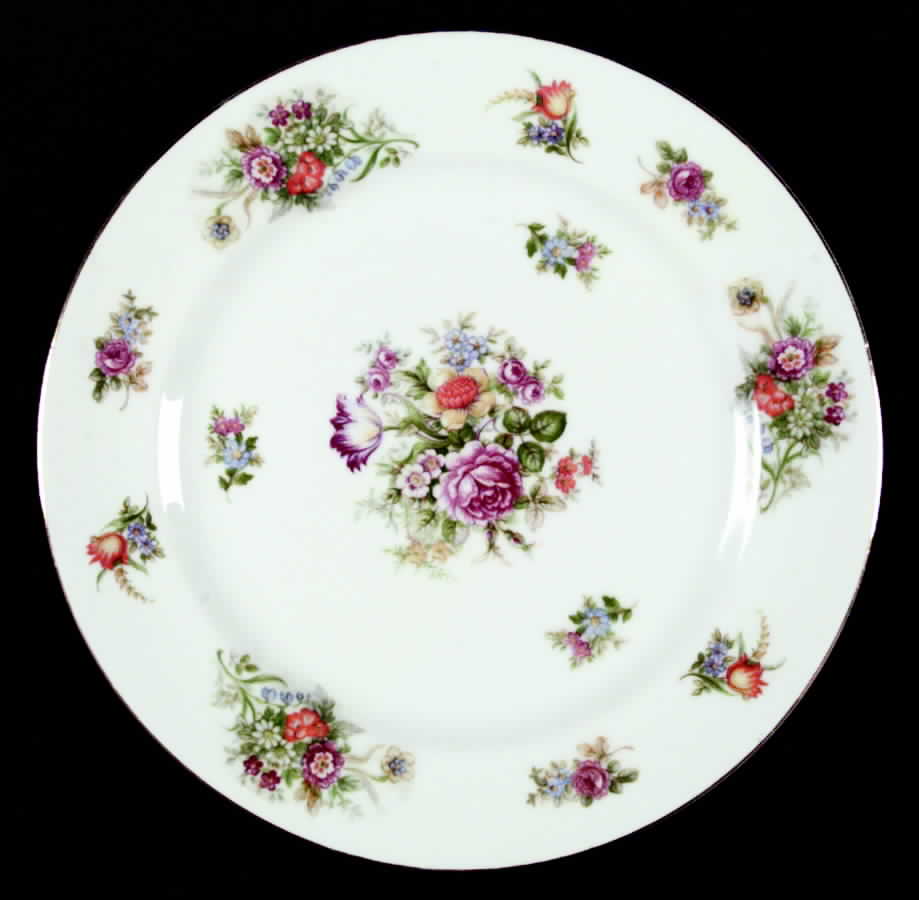 AIC2 Dinner Plate by Aichi-1