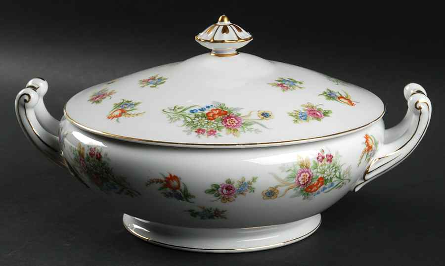 AIC2 Round Covered Vegetable by Aichi-1