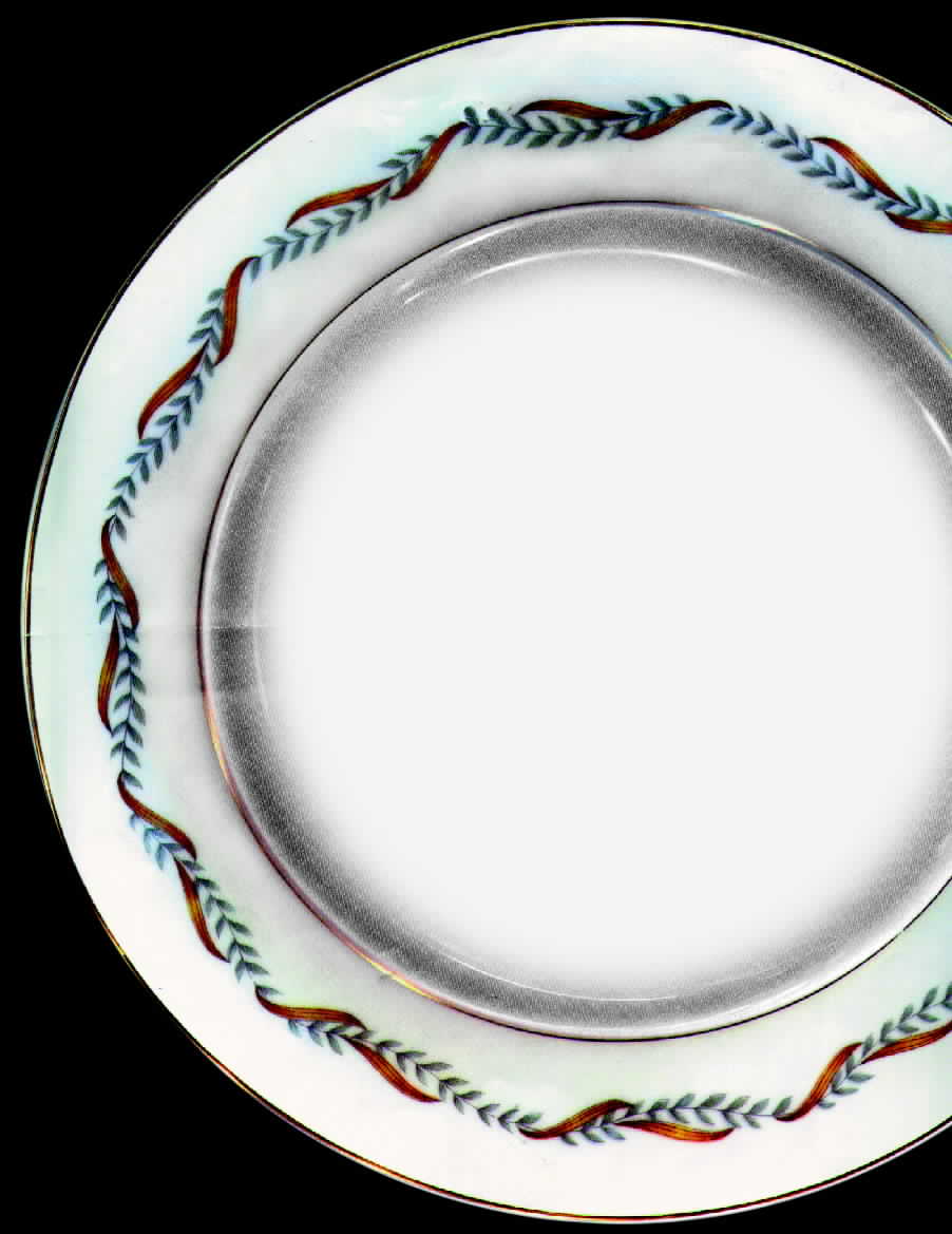 AIC8 Dinner Plate by Aichi-1
