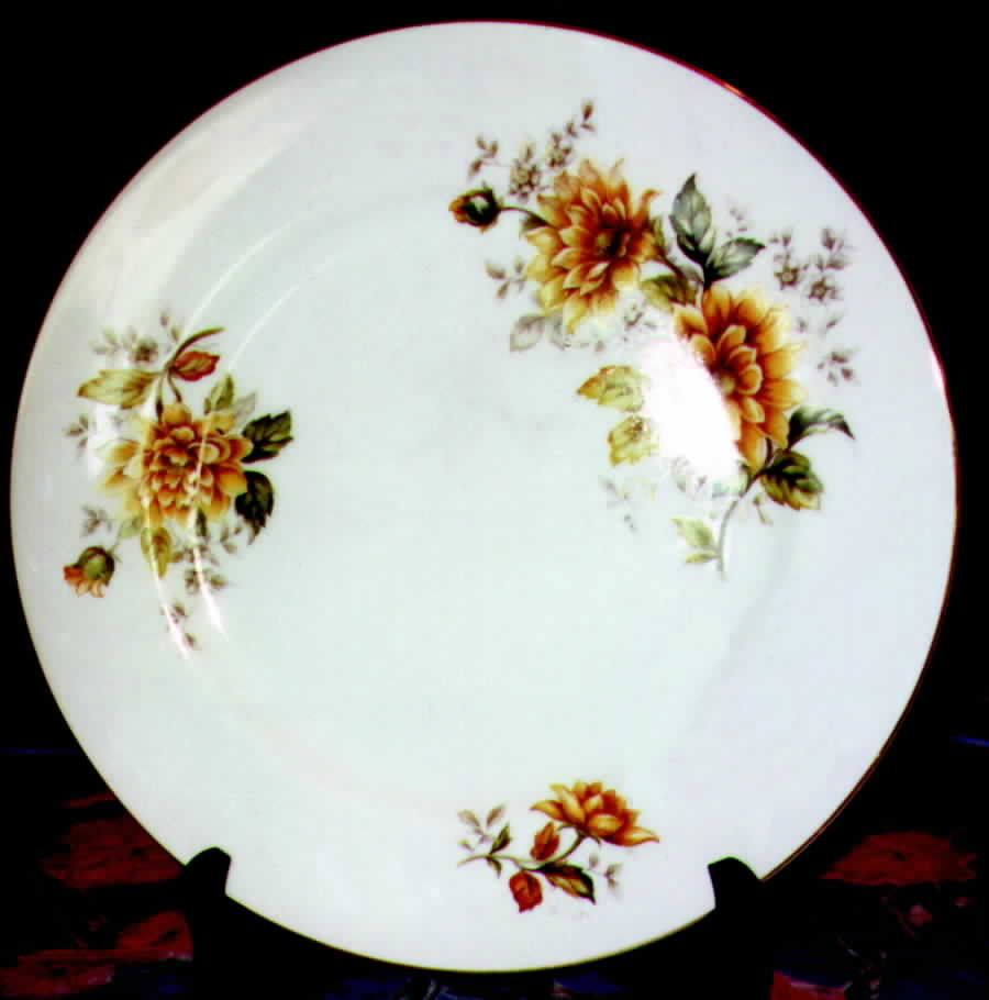 AIC9 Dinner Plate by Aichi-1