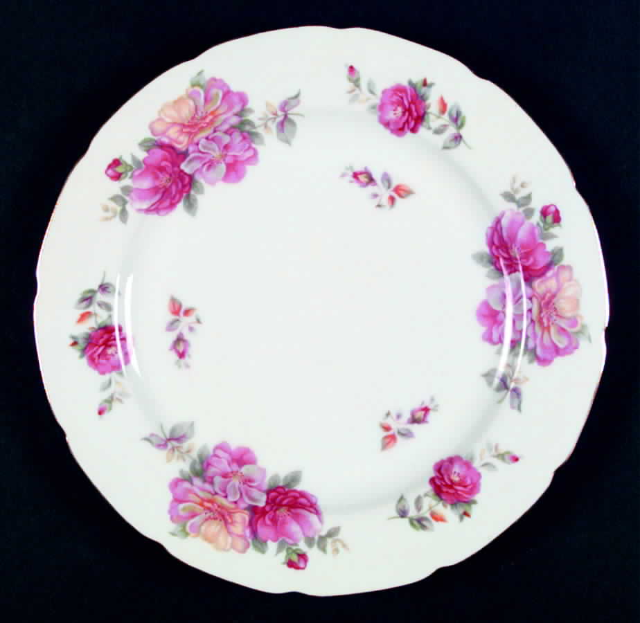 Fiesta Dinner Plate by Aladdin-1
