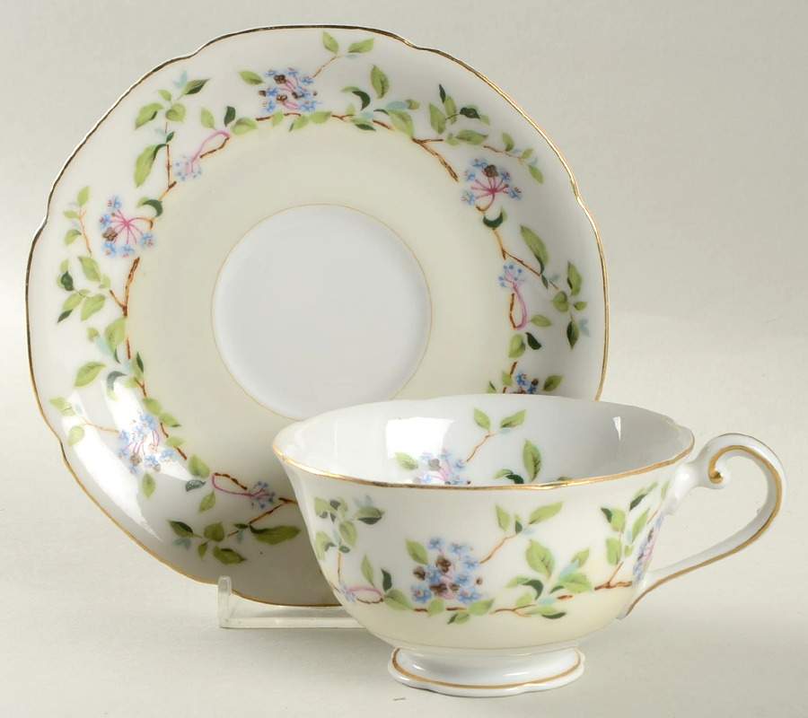 Forget Me Not Footed Cup & Saucer Set by Aladdin-1