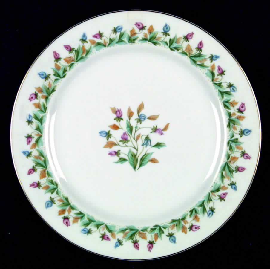 Hollandia Dinner Plate by Aladdin-1