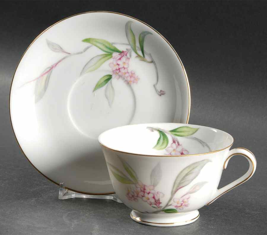 Larkspur Footed Cup & Saucer Set by Aladdin-1