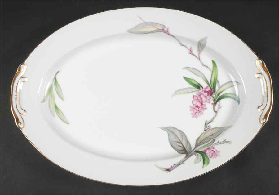 Larkspur 16" Oval Serving Platter by Aladdin-1
