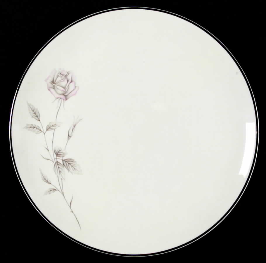 Promise Dinner Plate by Aladdin - USA-1