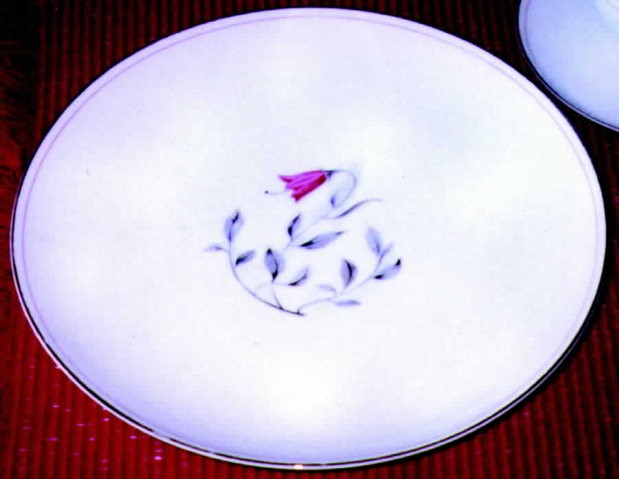 ALB6 Dinner Plate by Albion-Japan-1
