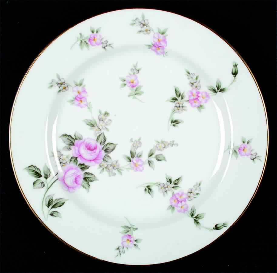 Wild Rose Dinner Plate by Albion-Japan-1