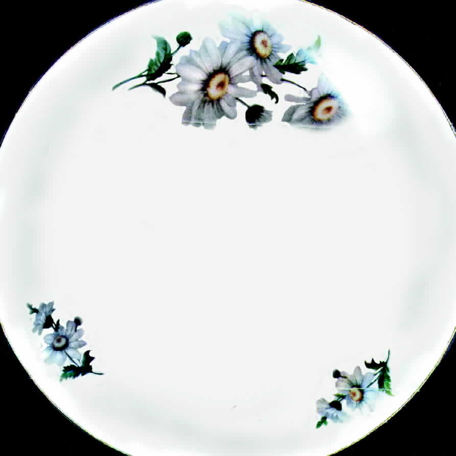 ALF1 Salad Plate by Alfoldi Porcelin-1