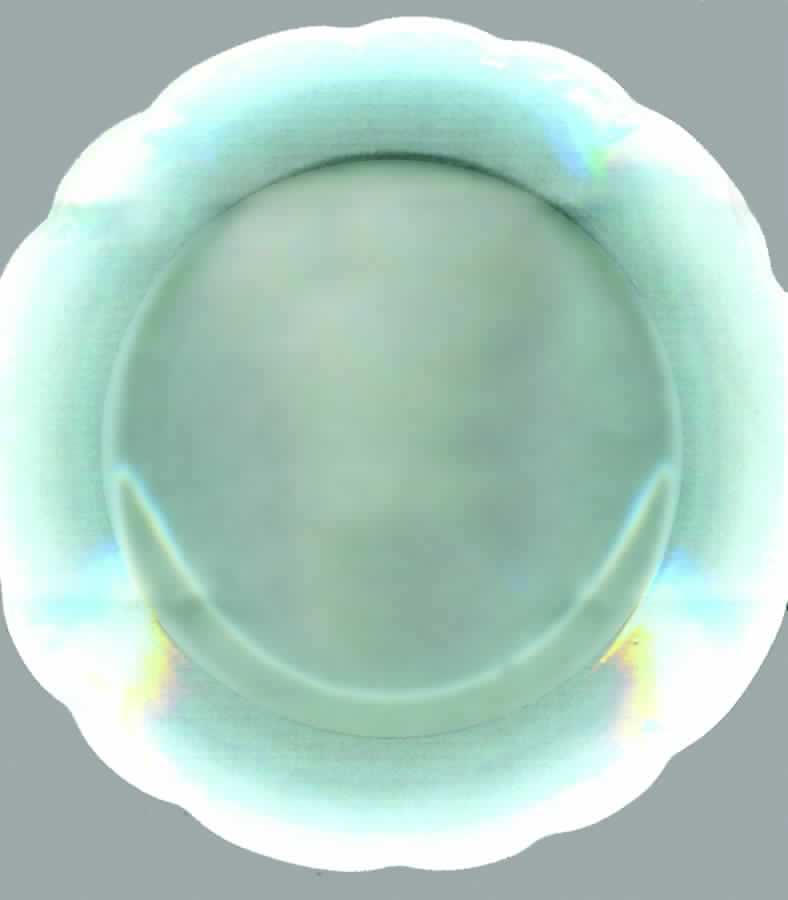 ALT105 Luncheon Plate by Altrohlau-1