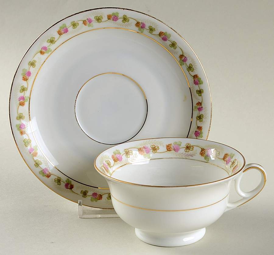 6826 Footed Cup & Saucer Set by Altrohlau-1