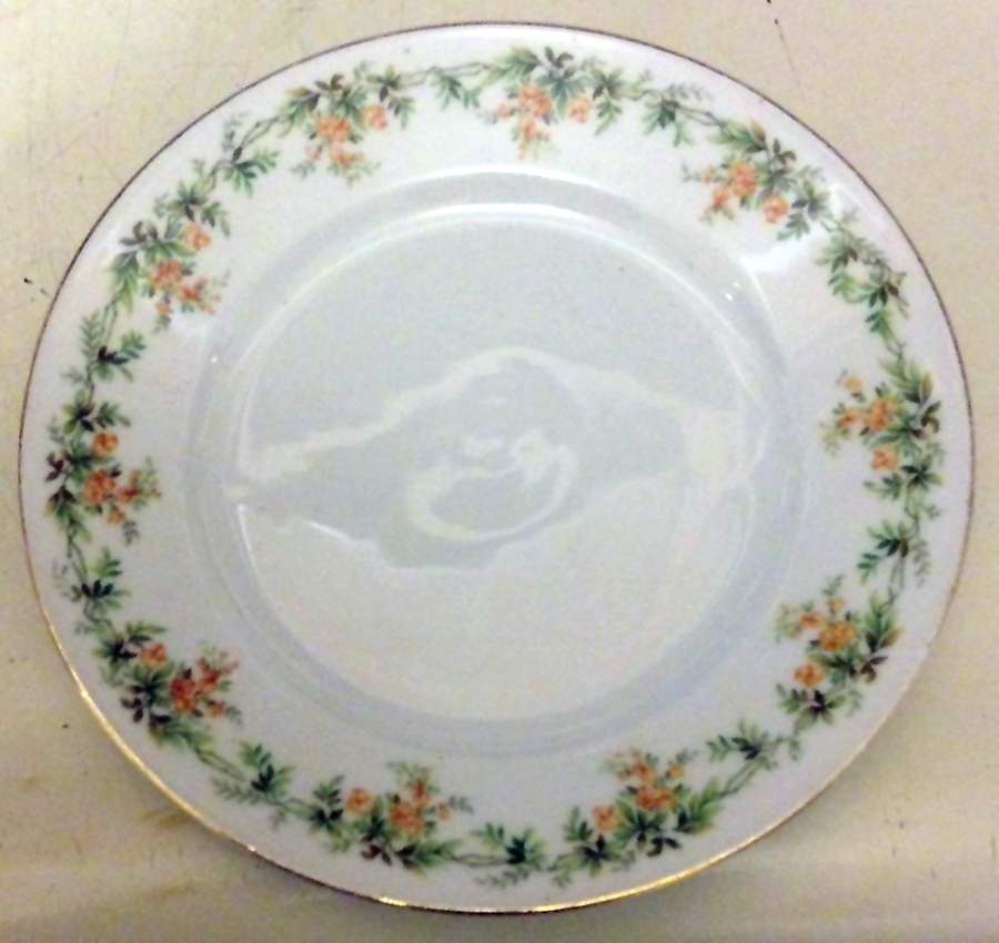ALT110 Dinner Plate by Altrohlau-1