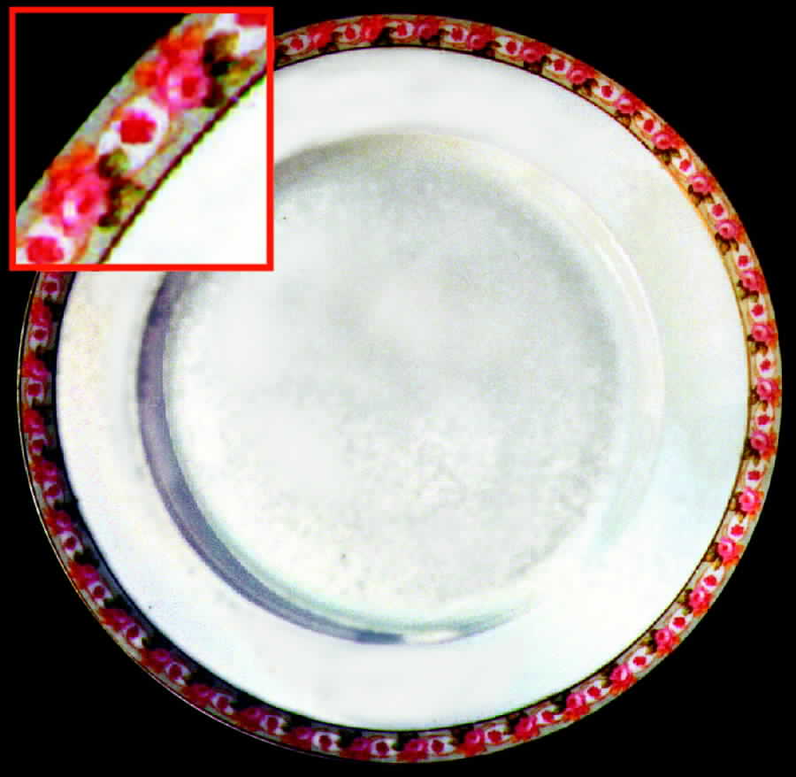 ALT113 Dinner Plate by Altrohlau-1