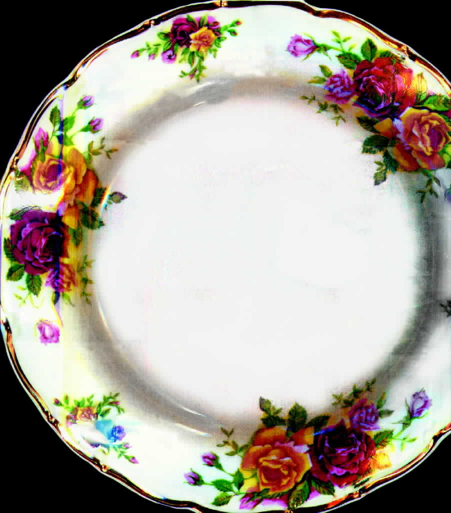 ALT116 Dinner Plate by Altrohlau-1