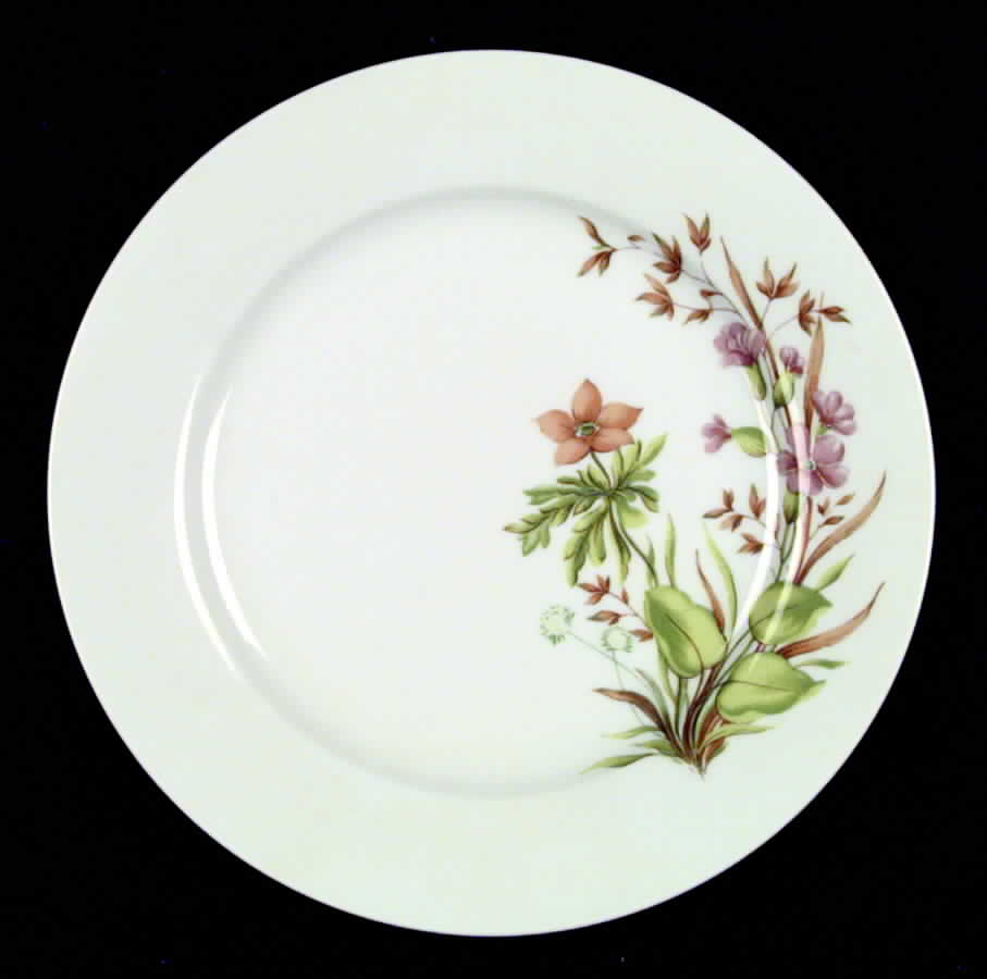 ALT16 Dinner Plate by Altrohlau-1