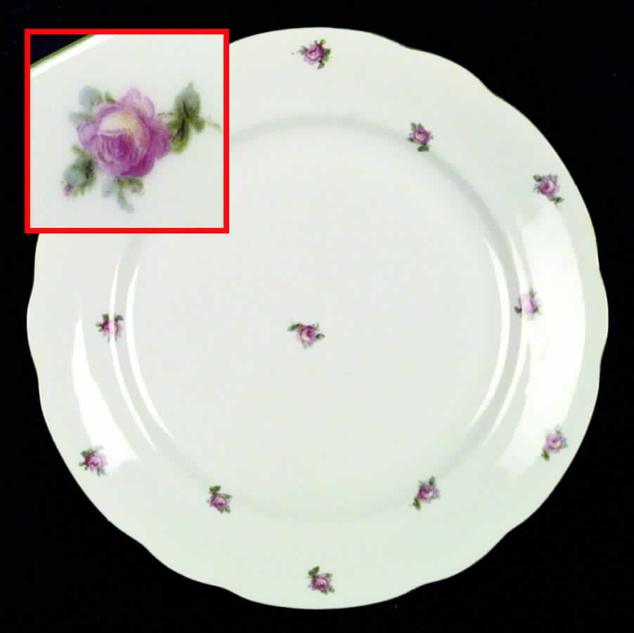 ALT18 Dinner Plate by Altrohlau-1