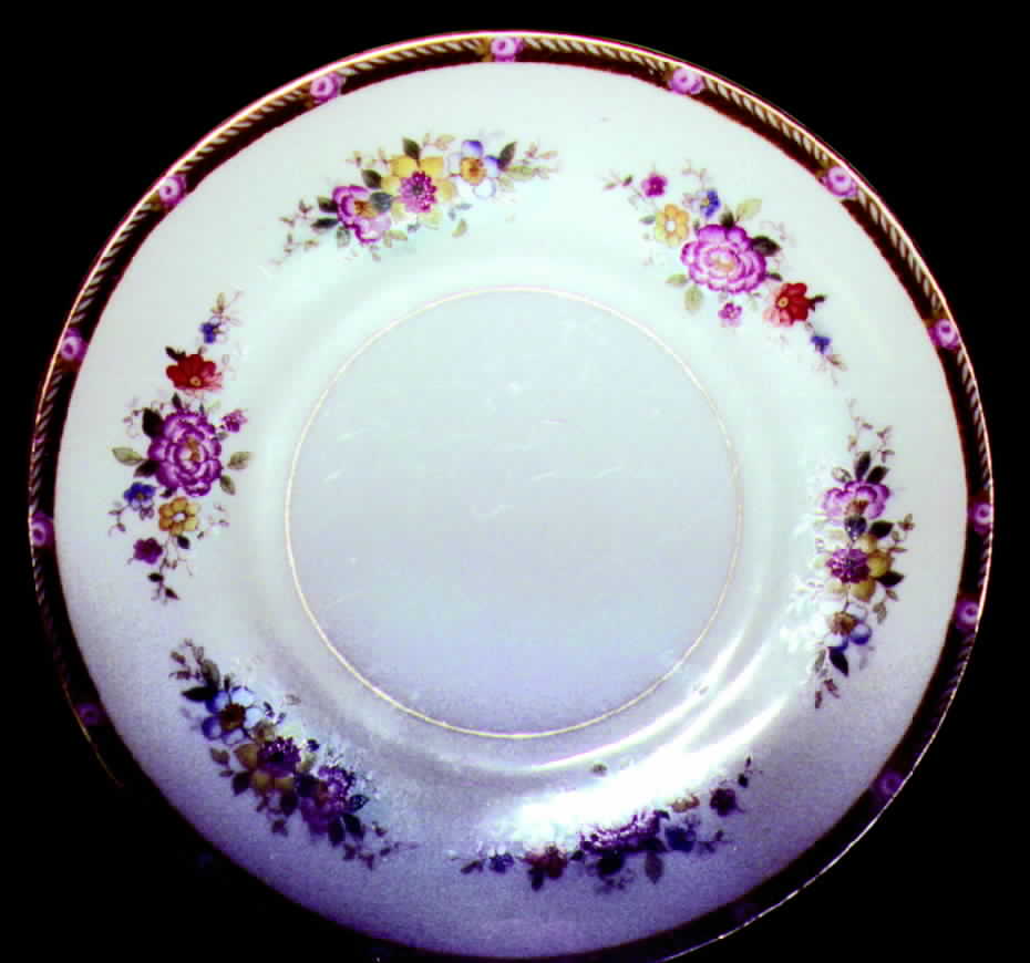 ALT30 Dinner Plate by Altrohlau-1