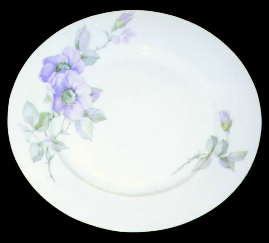 ALT34 Dinner Plate by Altrohlau-1