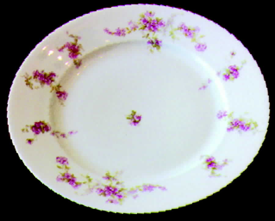 ALT35 Dinner Plate by Altrohlau-1
