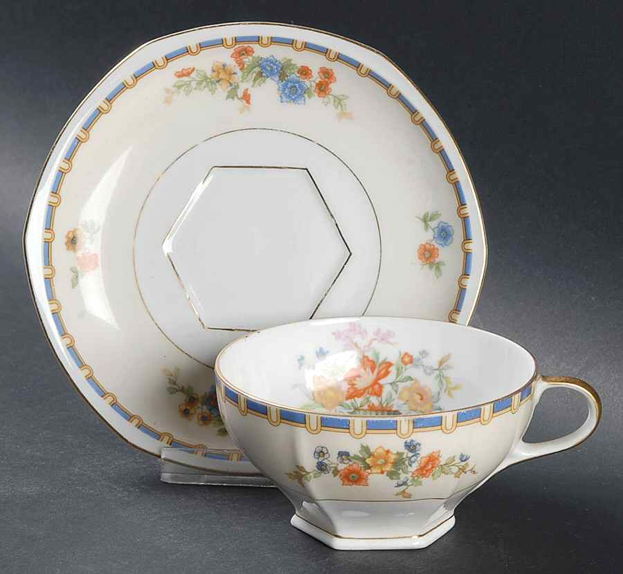 Jardiniere Footed Cup & Saucer Set by Altrohlau-1