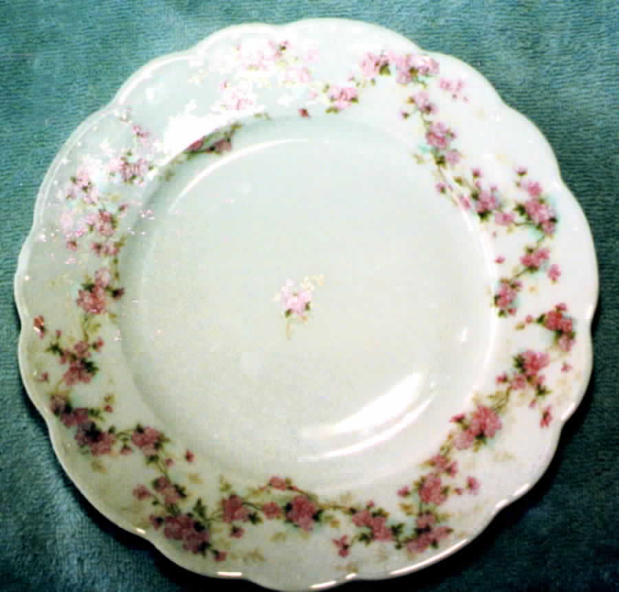 ALT63 Dinner Plate by Altrohlau-1