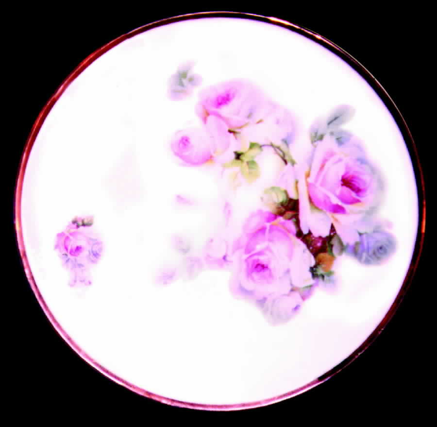 ALT66 Dinner Plate by Altrohlau-1