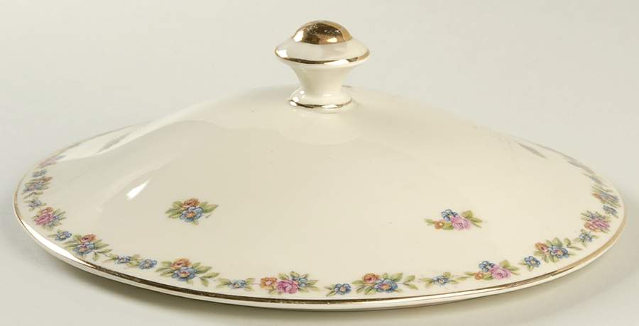 ALT67 Lid for Round Vegetable by Altrohlau-1
