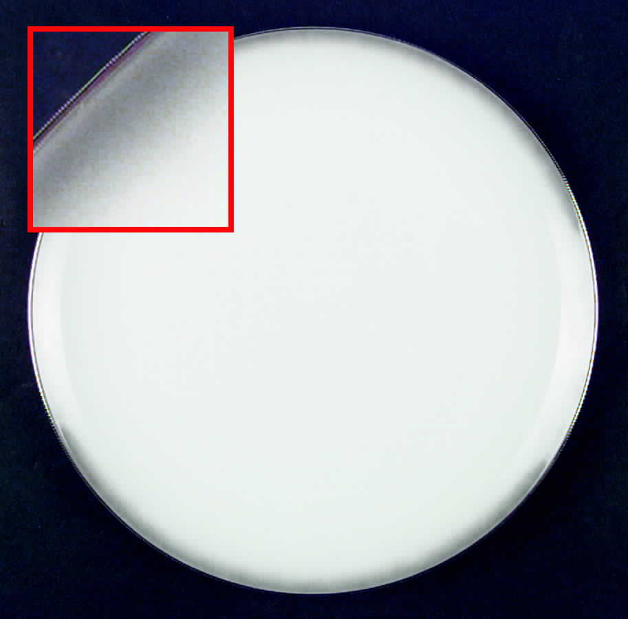 Angelique Dinner Plate by Amcrest-1