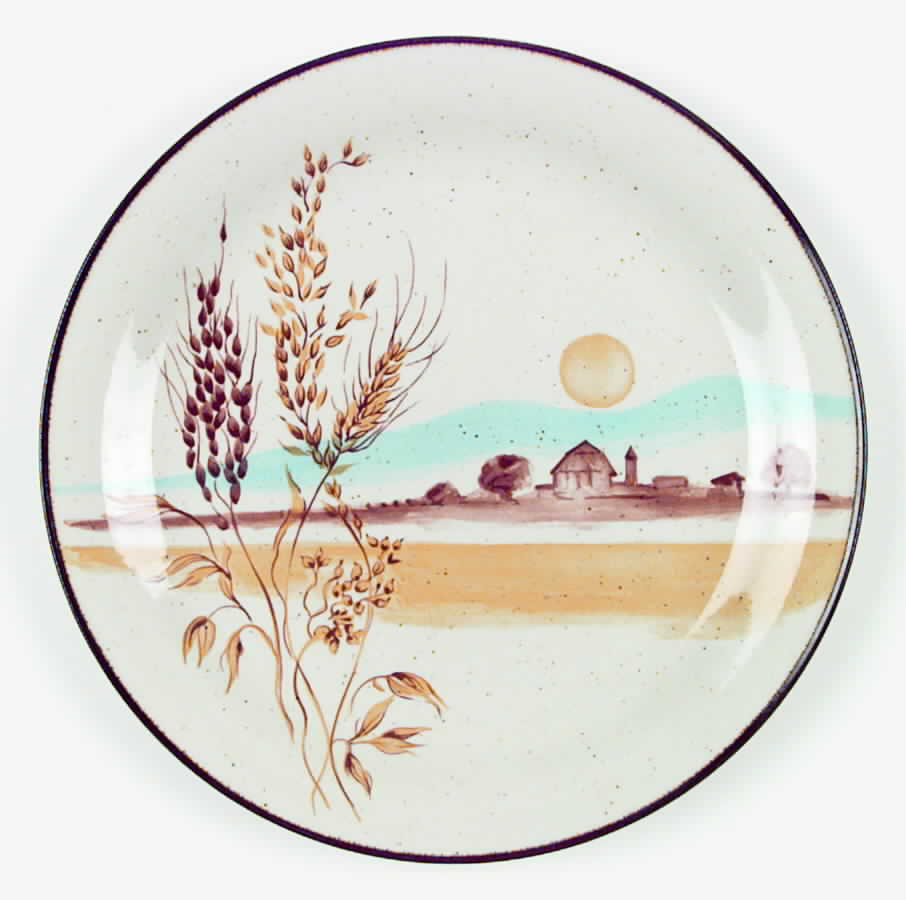 Desert Bloom Dinner Plate by Anchor Hocking-1