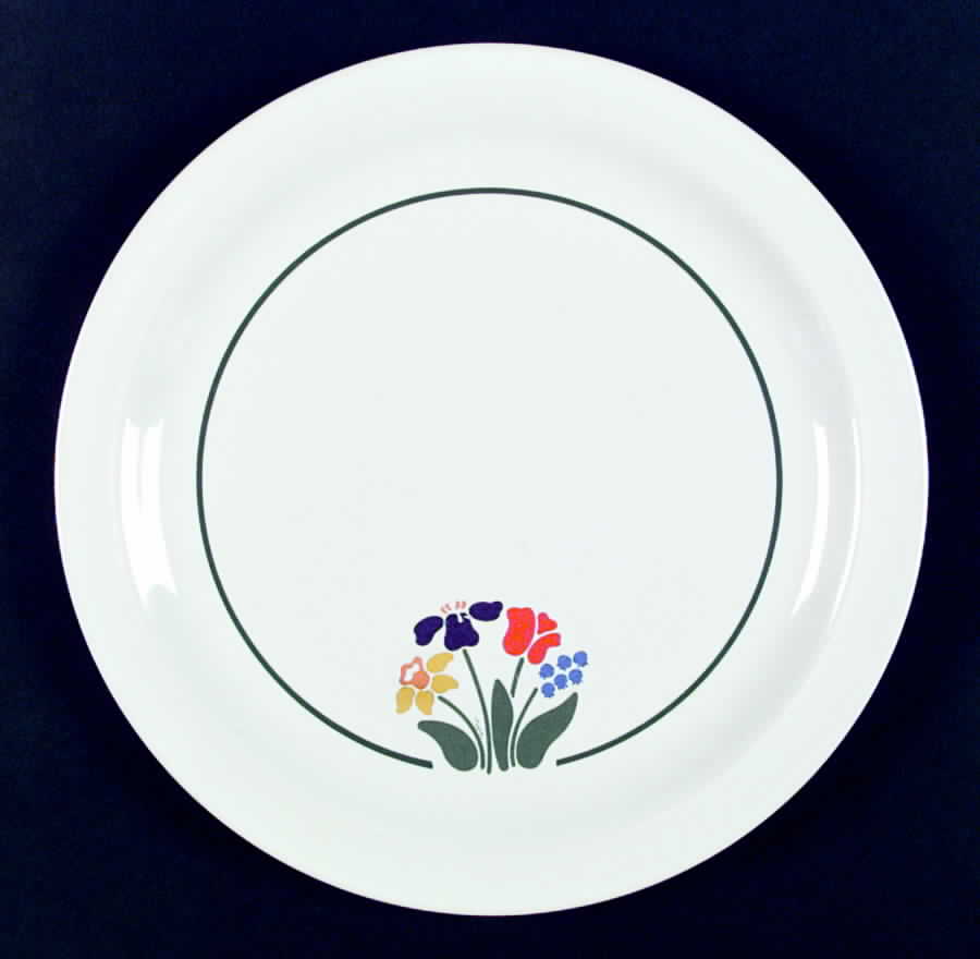 Greenhouse Dinner Plate by Anchor Hocking-1