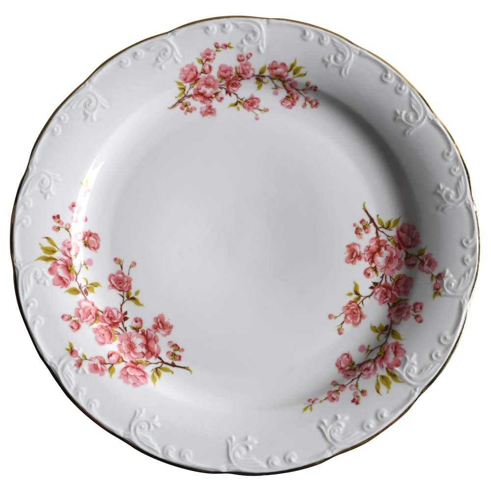 APO1 Dinner Plate by Arpo-1
