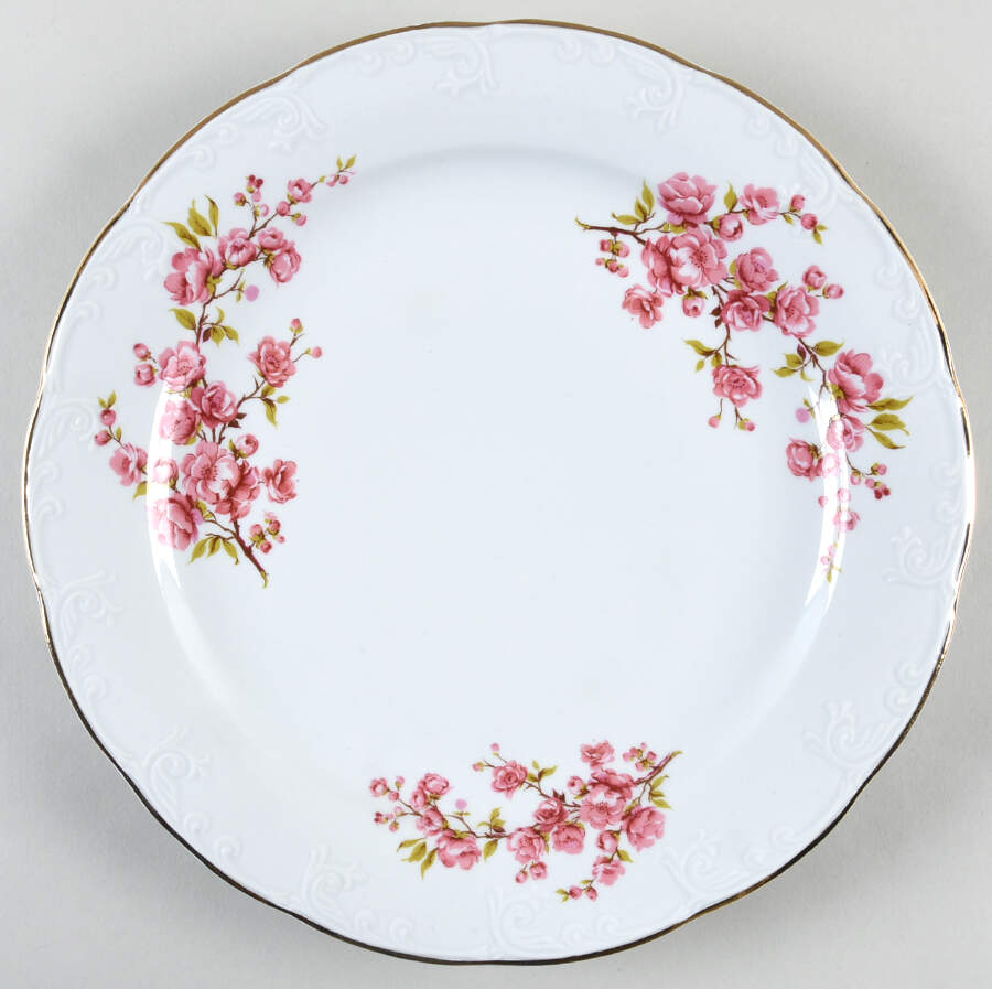 APO1 Dinner Plate by Arpo-1